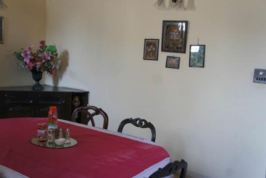 Sirohi House ニューデリー エクステリア 写真