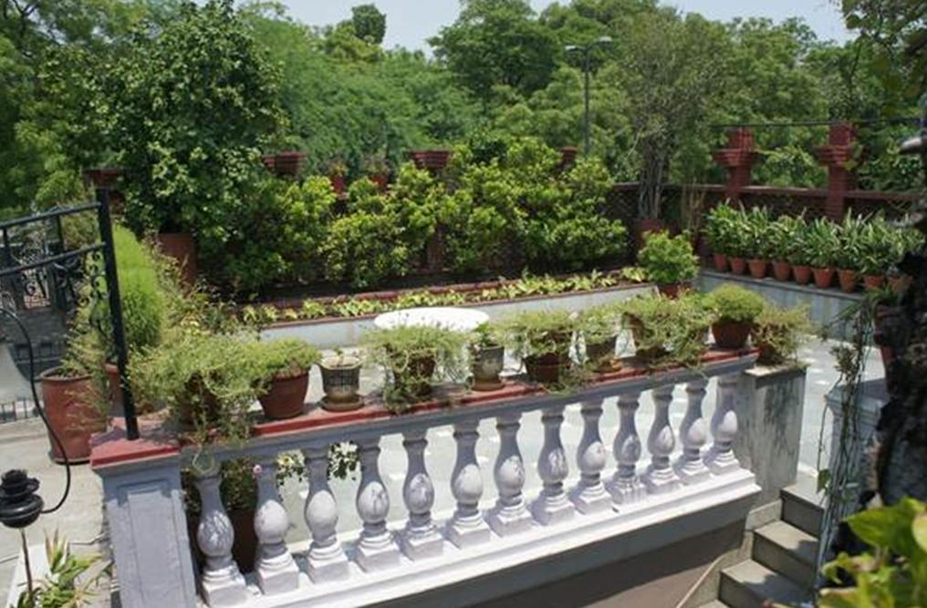 Sirohi House ニューデリー エクステリア 写真