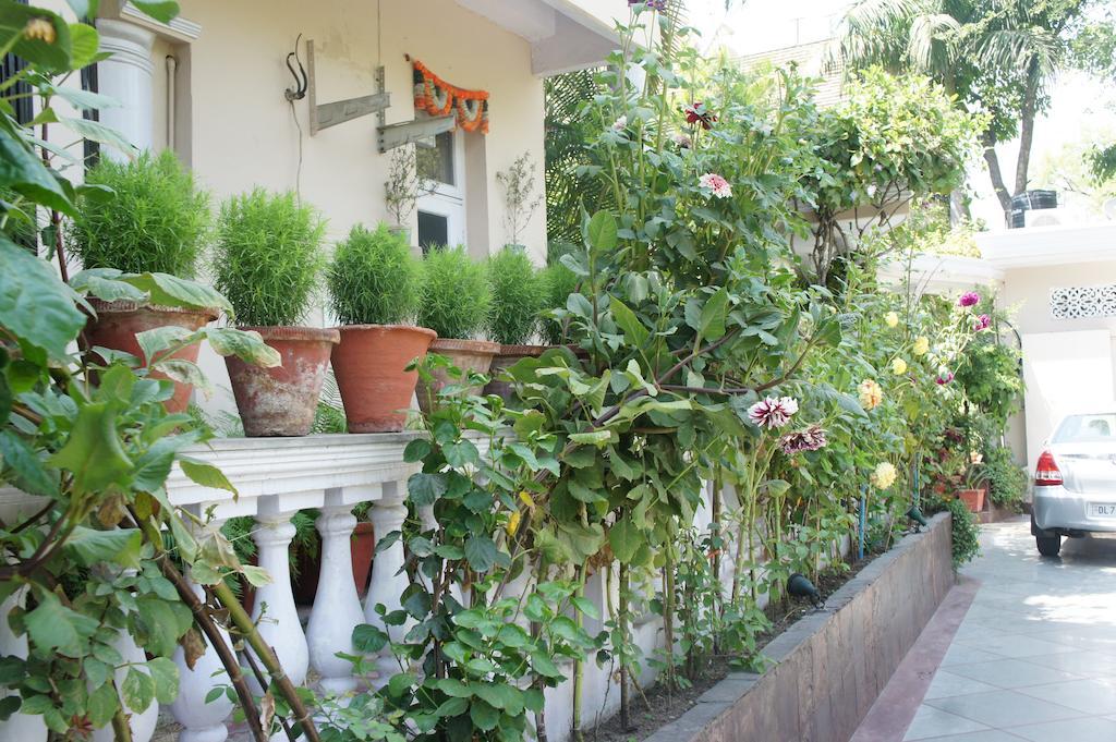 Sirohi House ニューデリー エクステリア 写真