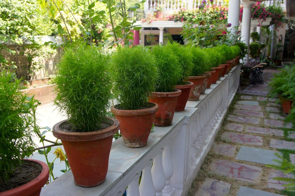Sirohi House ニューデリー エクステリア 写真