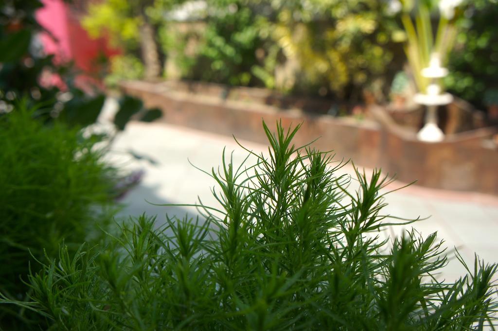 Sirohi House ニューデリー エクステリア 写真